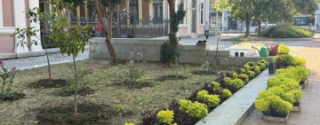 Облагородиха зелените площи на площад „Съединение“ за празника на Пловдив